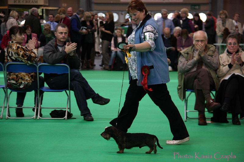 Crufts2011_2 952.jpg